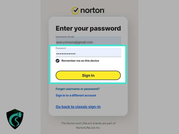 Enter your password and click on sign in