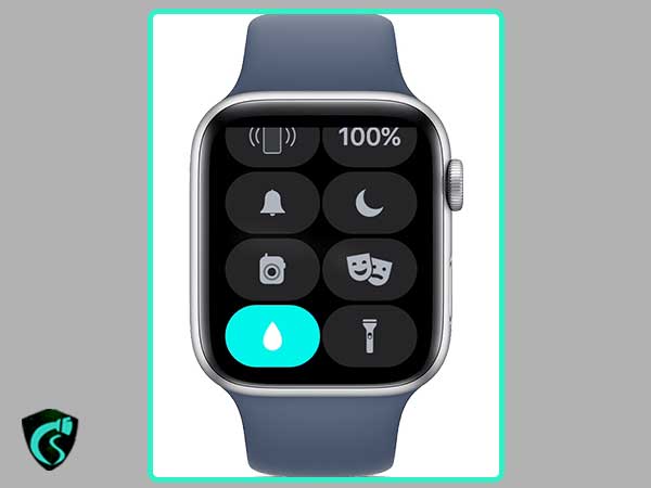 Raindrop icon in the Apple watch
