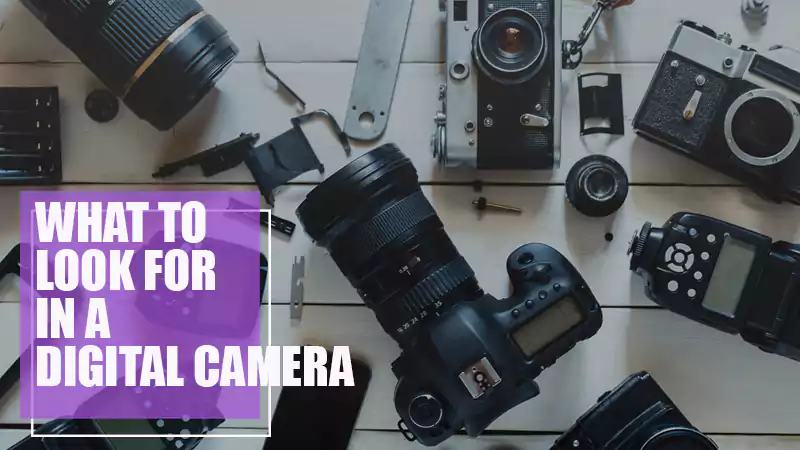 Digital Cameras - What to Look for in a Digital Camera