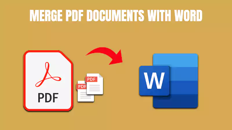 PDF and word