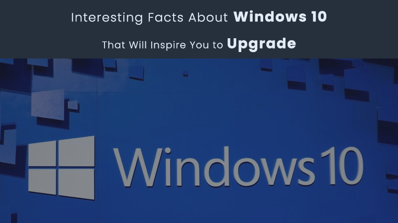 facts about window