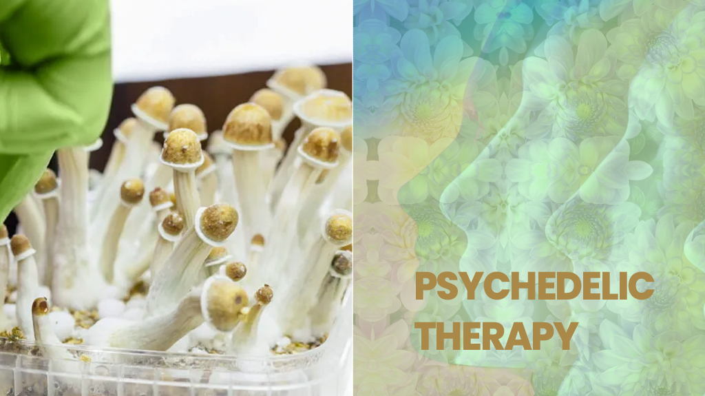 Psychedelic-Therapy