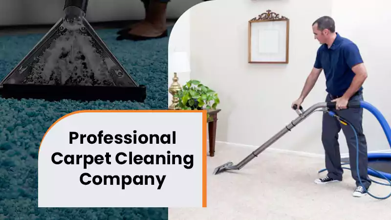 Professional Carpet Cleaning Company