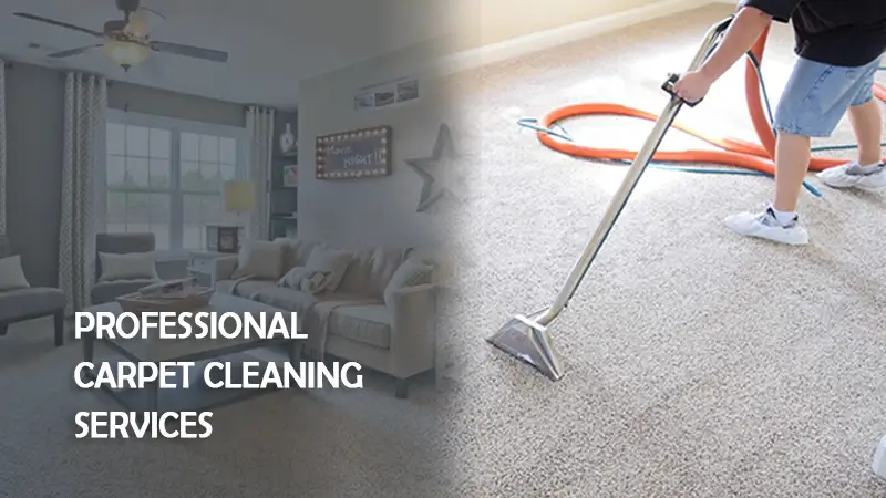 proffesional-carpet-cleaning-services