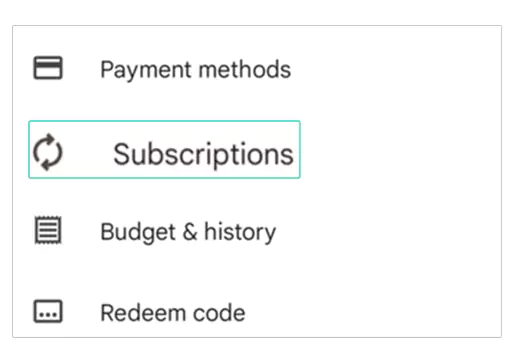 Select ‘Subscriptions option