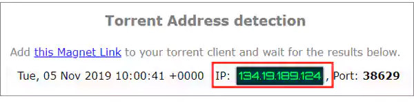 Nord VPN's Torrent address IP detection