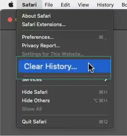 Tap on the Clear History option
