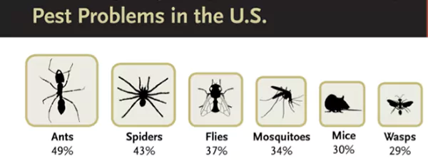 Pest problems in the U.S.